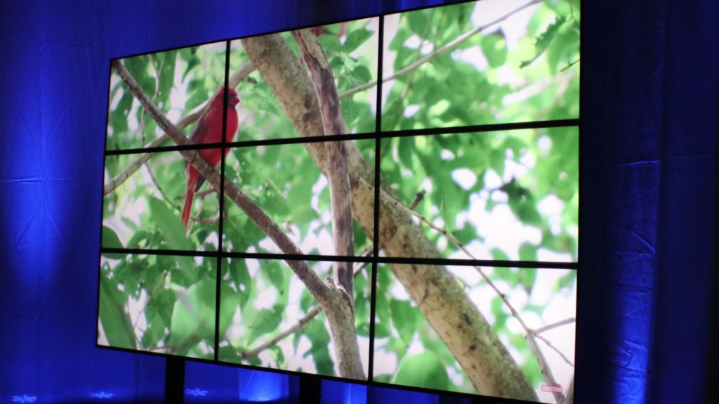 videowall, hd videowall, video wall rentals, big tv, big screen tv